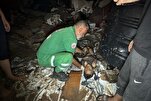 Sionist rejimin Qəzzəyə hücumları nəticəsində onlarla şəhid və yaralı
