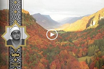 Heavenly Recitations: Surah Ash-Shams by Mahmoud Shahat Anwar