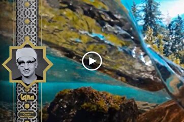 Heavenly Recitations: Minshawi Recites Verse from Surah Rum