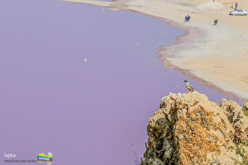 In Pictures: Picturesque Maharloo Lake in SW Iran