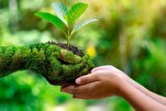 Islam Considers Harming Environment An Act of Injustice, Wickedness