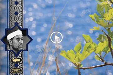 Heavenly Recitations: Surah Al-Alaq by Mustafa Ghalwash