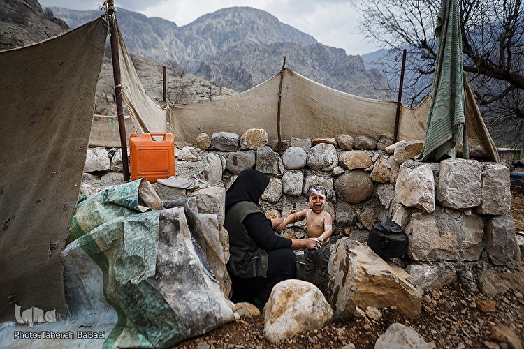 فریادهای «لالی»