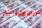 مصوبات شورای پول و اعتبار درباره حمایت از کسب و کارها در پی شیوع کرونا