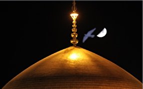 نماهنگ/ روشنی شمس و مه، ز آجر گنبد زرد رضاست