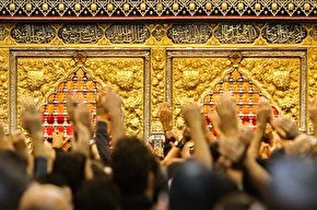 فیلم/ حمل ضریح حضرت ابوالفضل‌العباس (ع)