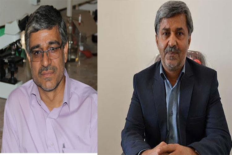 خاطره رزمندگان یزدی از اولین اعزام به جبهه / وقتی شکست معنا نمی‌دهد