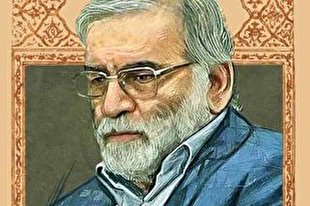 پلنگ زخمی این کوهسار را کشتند