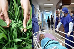 سلامتی را به کرونا گره نزنیم