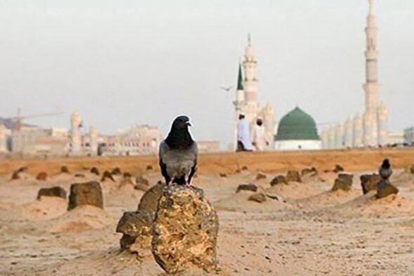 پادکست | عظمت جایگاه فاطمه زهرا(س)