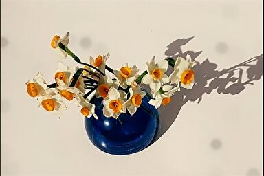 استوری موشن | خلاصه خوبی‌ها