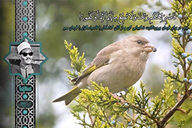 فیلم | فرازی از تلاوت سوره انسان با صوت «علی الفرج»