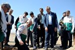 کاشت نهال در یزد با مشارکت خادمیاران رضوی