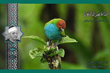 فیلم | فراز شنیدنی تلاوت «شحات» از سوره آل‌عمران