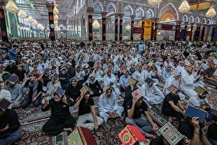 فیلم | مراسم احیای شب قدر در حرم مطهر اباعبدالله الحسین(ع)