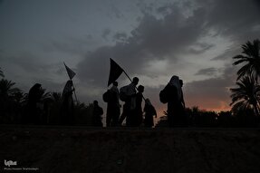 نماهنگ | وحدت، برادری و عشق در مسیر حسین(ع)