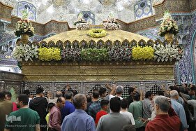 گل آرایی ضریح حضرت معصومه(س)