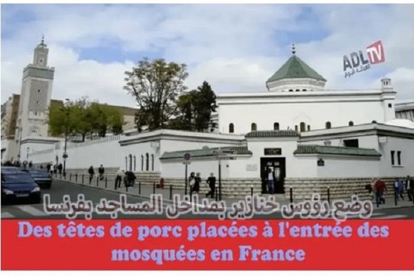 کوتاهی دولت فرانسه در حمایت از مساجد