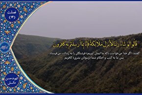 فیلم | فرازی از تلاوت «شهید دانش»