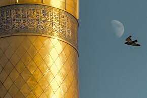 استوری‌موشن | نشانه‌های قائم(عج)