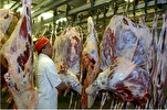 Le parlement bruxellois a rejeté l’interdiction de l’abattage halal