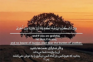 Une invitation à la gratitude