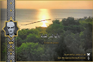 Film/ Penggalan Indah Ayat-Ayat Akhir Surah Al-Fajr oleh Syekh Al-Minshawi