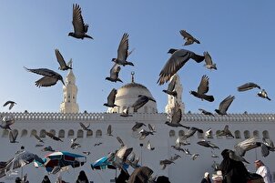Para Jemaah Mengunjungi Tempat-tempat Suci dan Bersejarah Madinah setelah Haji
