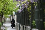 La sostenibilità ambientale negli insegnamenti islamici: un obbligo sacro