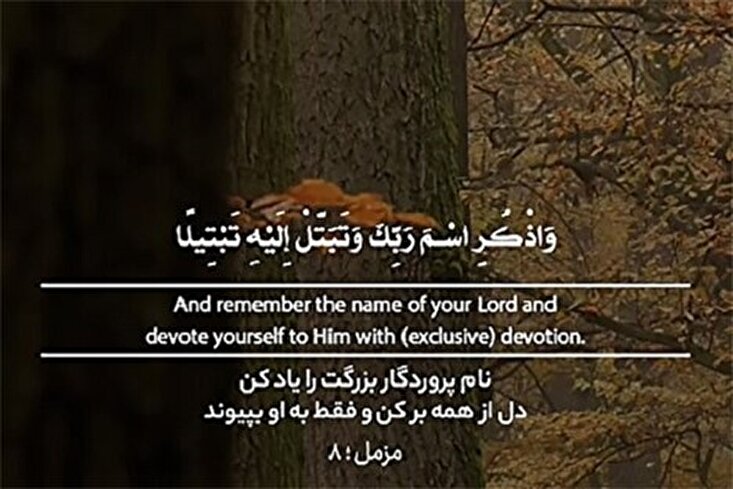 Putuskan Hati dari Segala-galanya untuk berpaut hanya kepada Allah