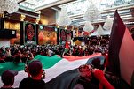 Поддержка иракским религиозным авторитетом кампании по оказанию помощи Газе
