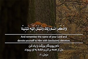 Дилро аз ҳама баркан